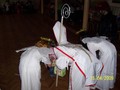 20091205174800-3d279f55.jpg